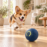 Jouets interactifs
