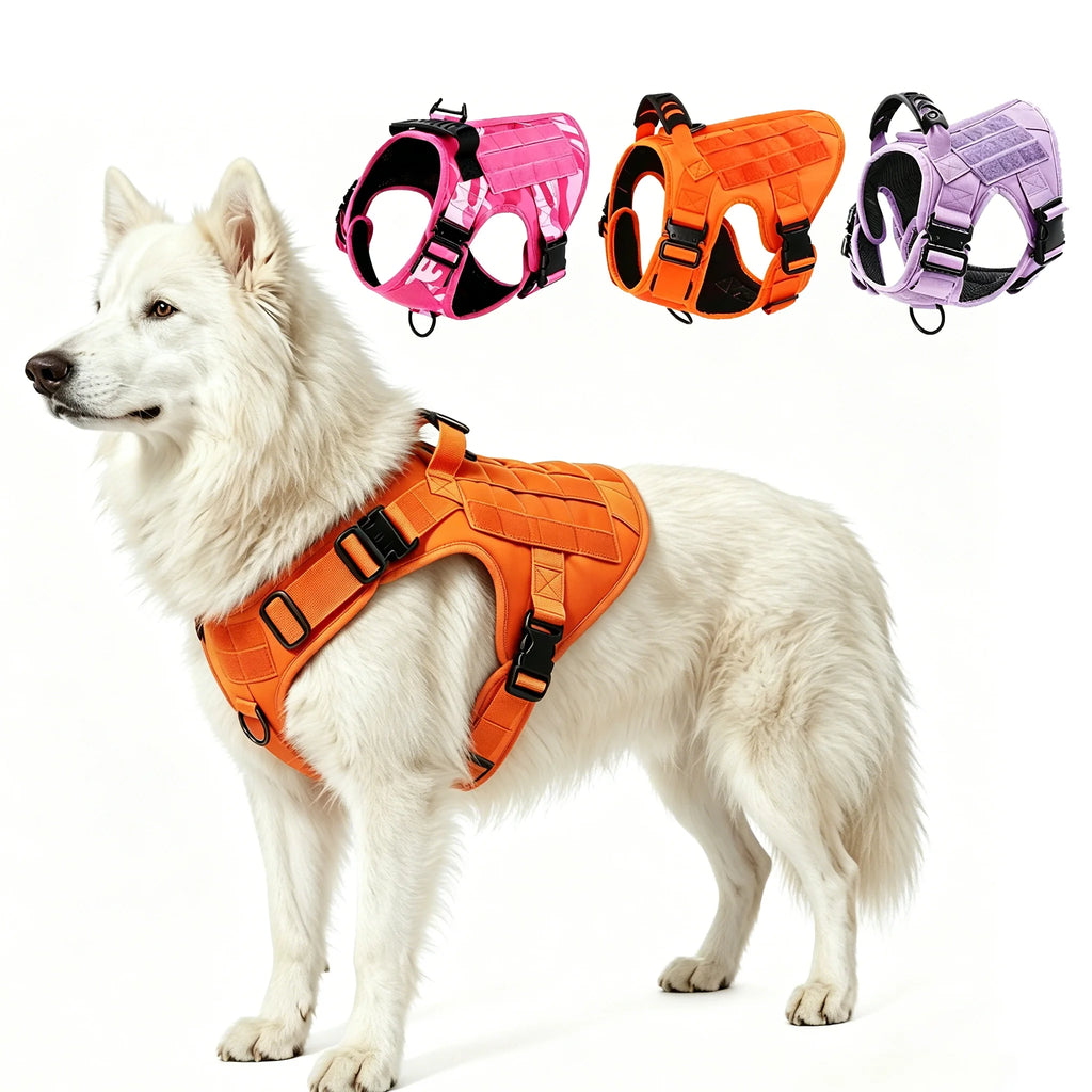 Harnais tactique MOLLE pour grand chien