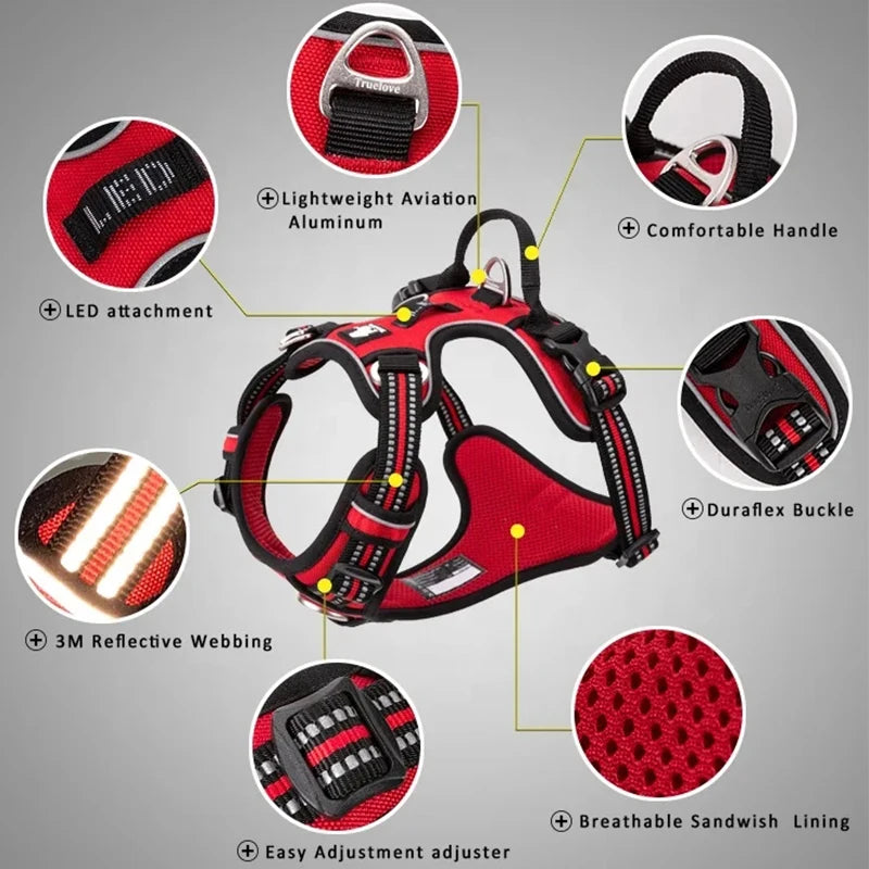 Ensemble harnais anti-traction et laisse assortie
