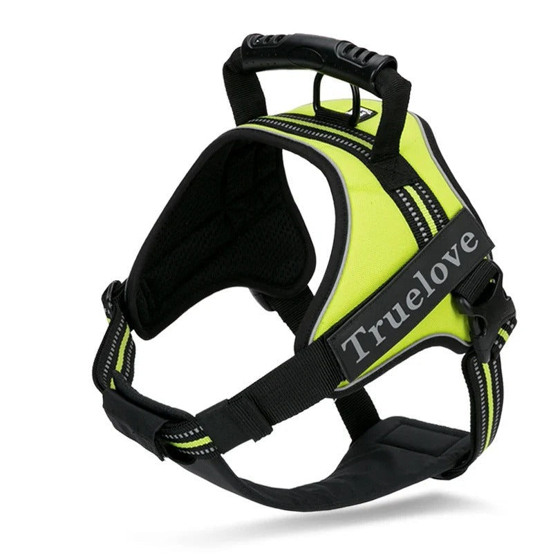 Harnais anti-traction 2 en 1, plastron amovible