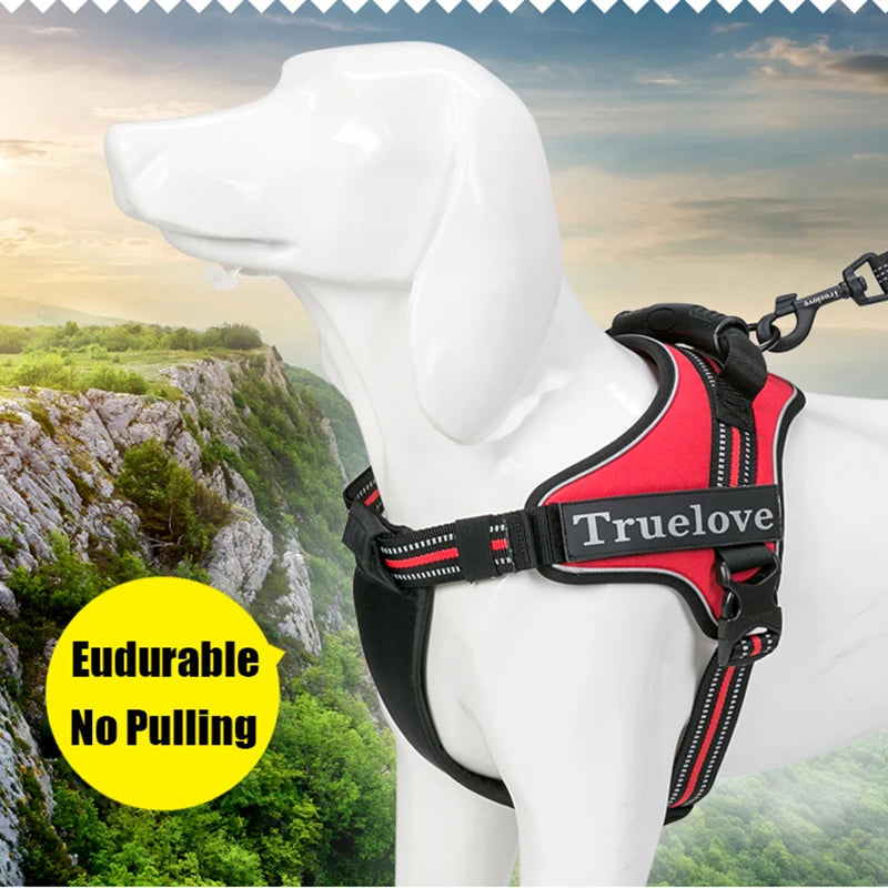 Harnais anti-traction 2 en 1, plastron amovible