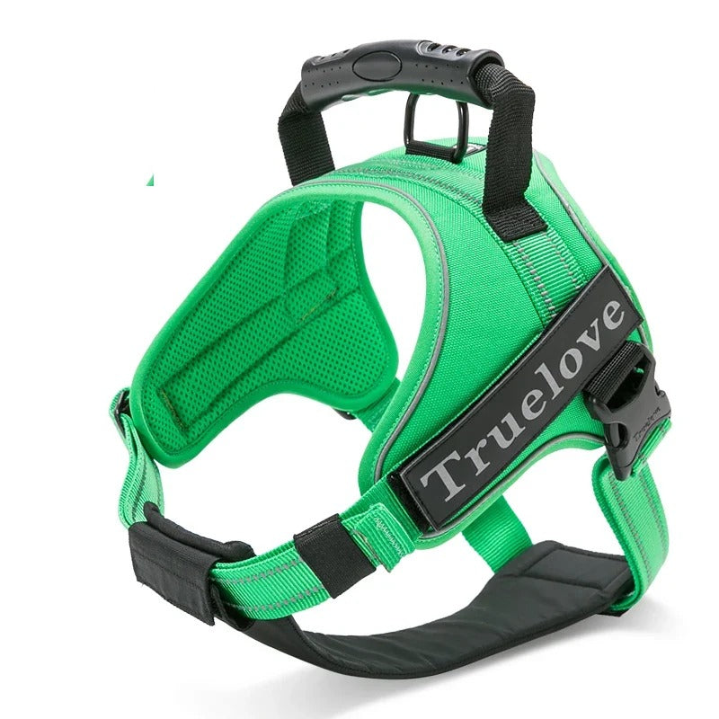 Harnais anti-traction 2 en 1, plastron amovible