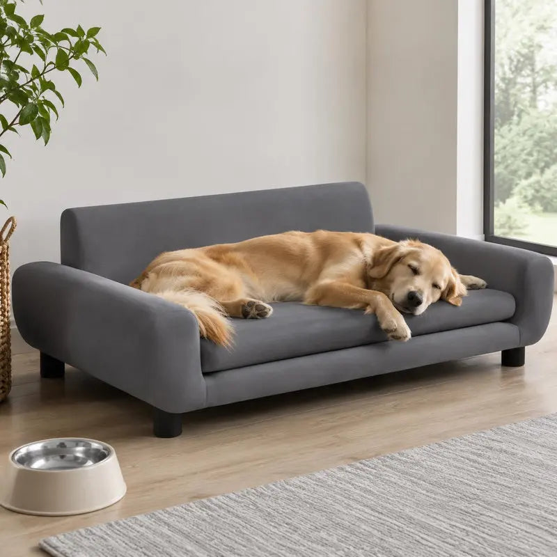 Canapé pour chien en velours, pieds en pin