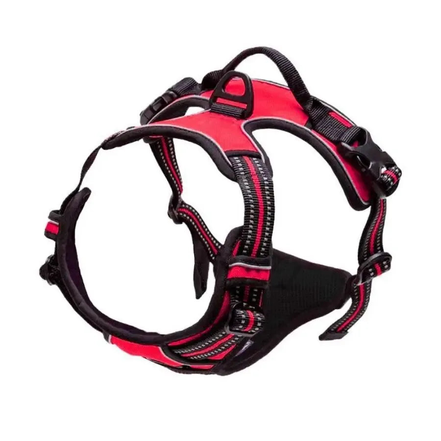 Harnais gilet confort, petit et moyen chien