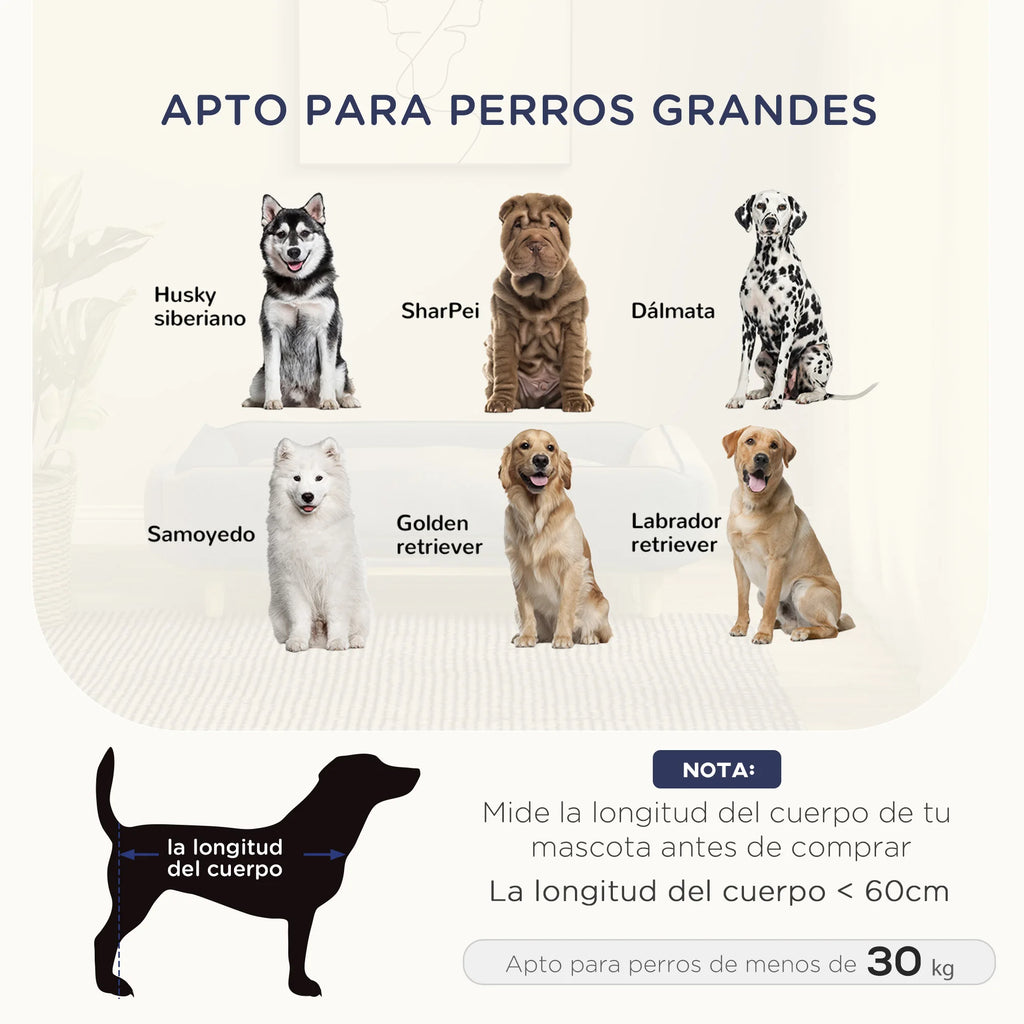 Canapé surélevé pour grand chien, coussin lavable