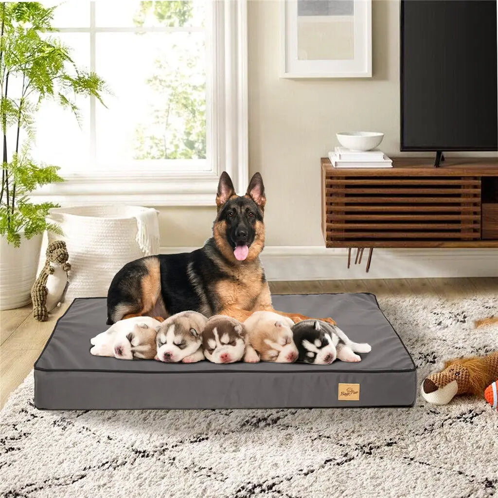 Matelas épais en mousse, housse peluche amovible