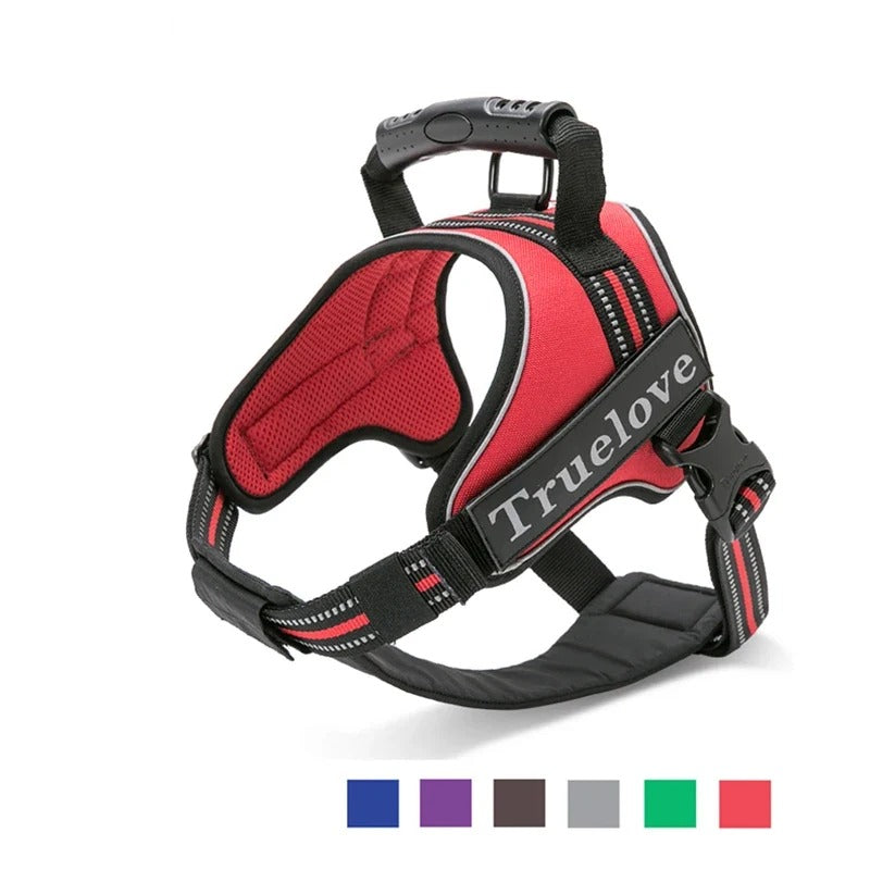 Harnais anti-traction 2 en 1, plastron amovible