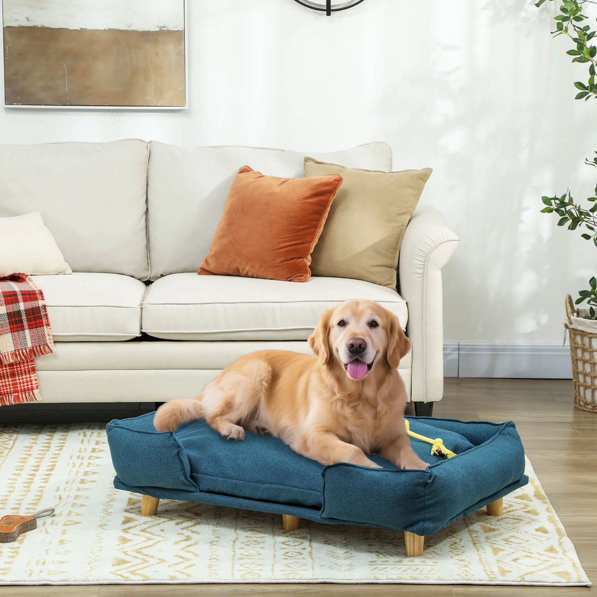 Canapé surélevé pour grand chien, coussin lavable