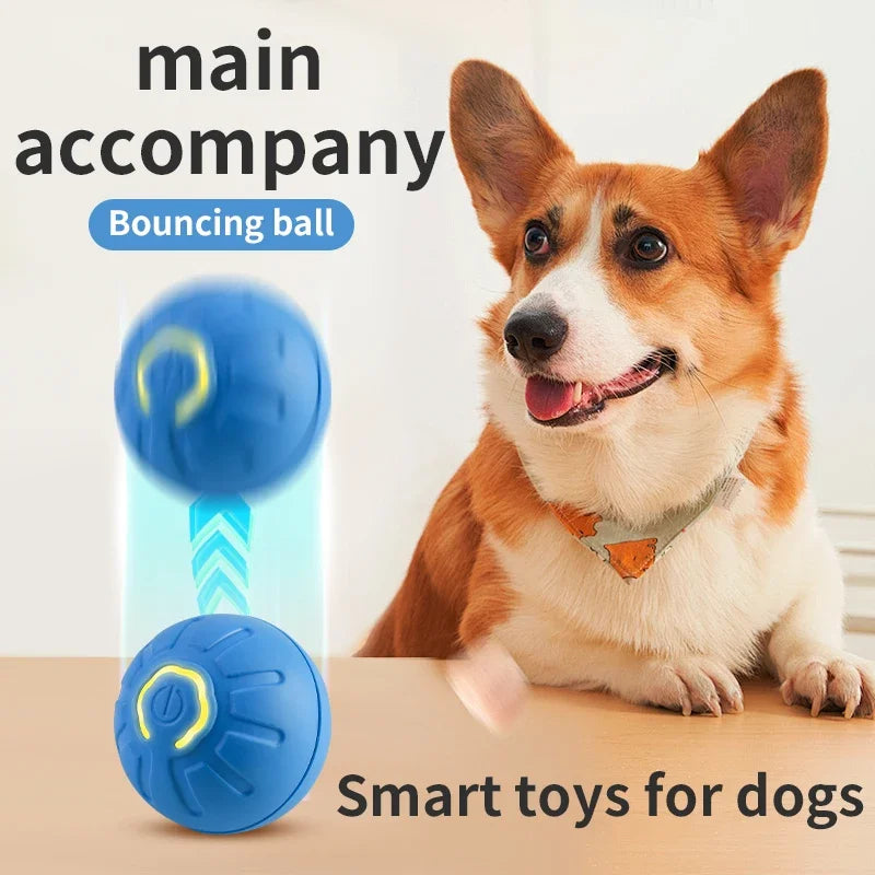 Balle interactive automatique