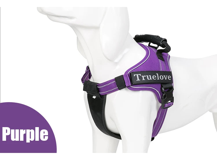 Harnais anti-traction 2 en 1, plastron amovible