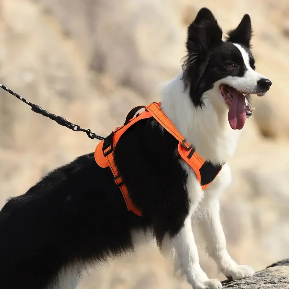 Dog Tactical Chest Harness Multifunctional Undershirt Reflective Dog Chest Harness Explosion-Proof Dog Chest Harness
