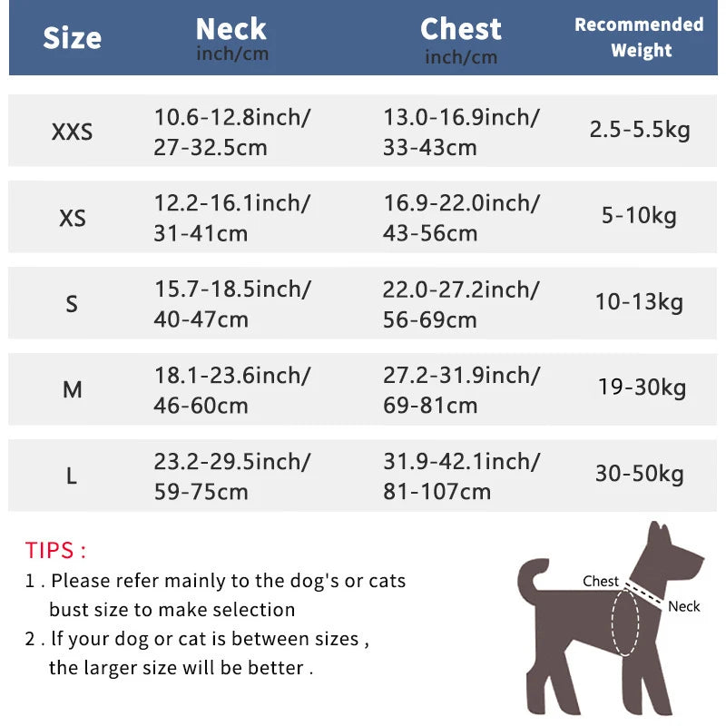Harnais gilet réfléchissant, petit et moyen chien