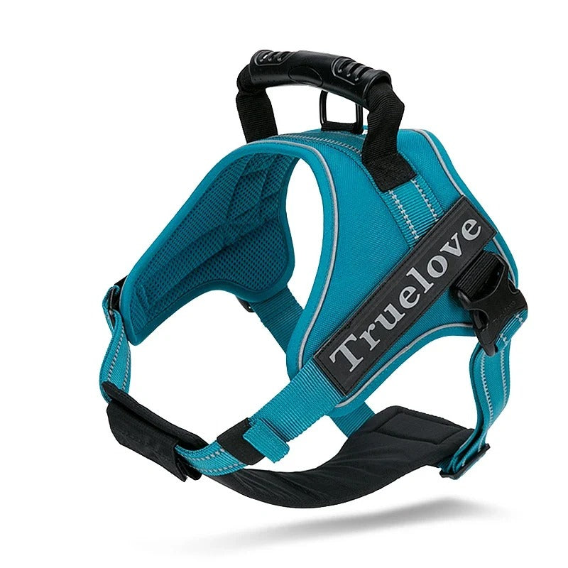 Harnais anti-traction 2 en 1, plastron amovible