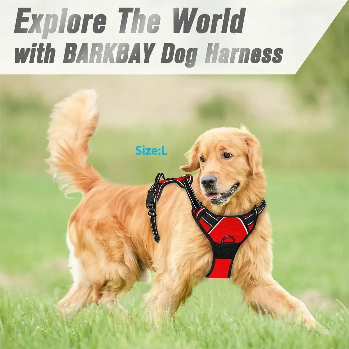 Harnais gilet confort, petit et moyen chien