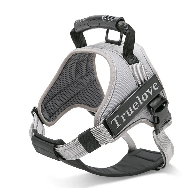 Harnais anti-traction 2 en 1, plastron amovible
