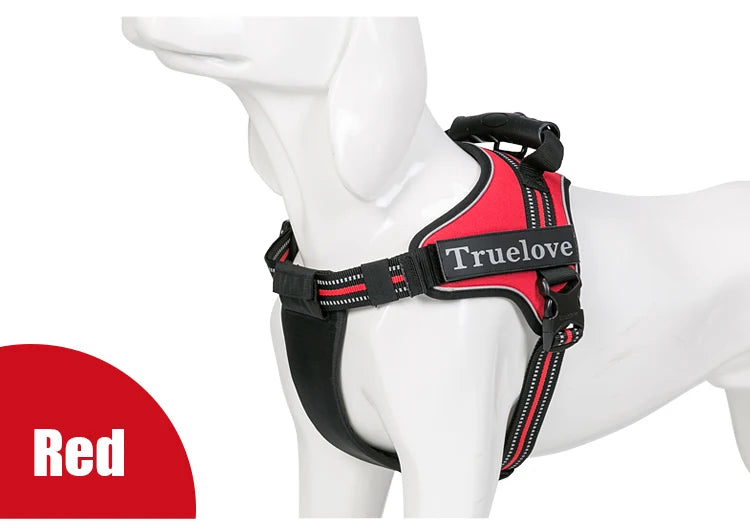Harnais anti-traction 2 en 1, plastron amovible