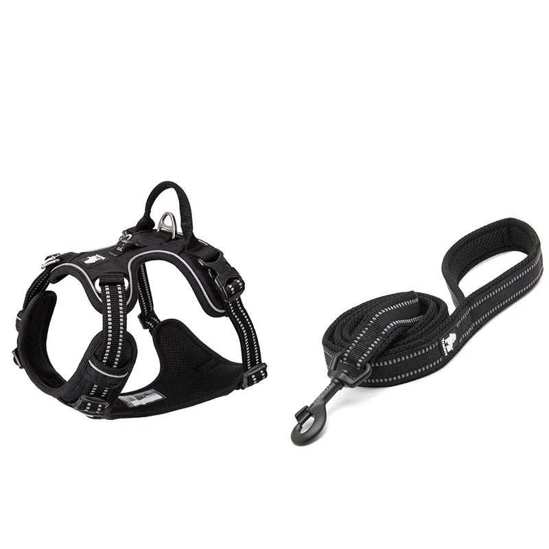 Ensemble harnais anti-traction et laisse assortie