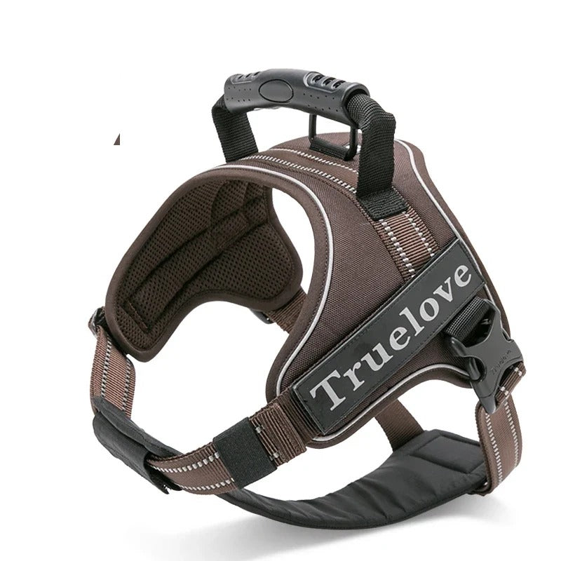 Harnais anti-traction 2 en 1, plastron amovible