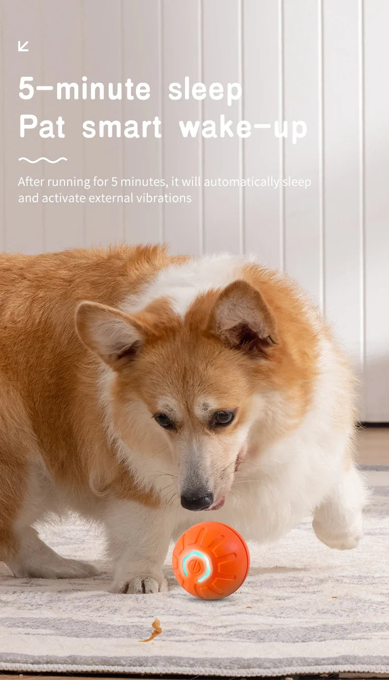 Balle interactive automatique