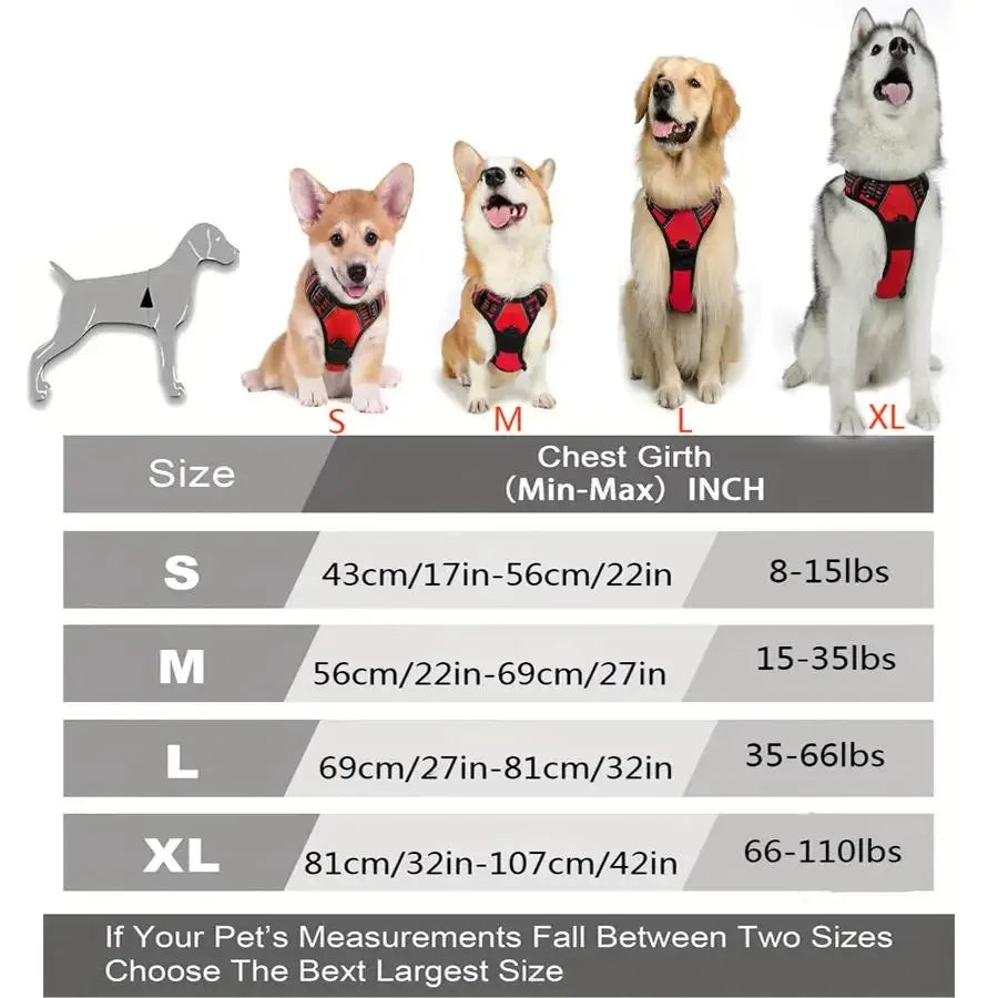 Harnais gilet confort, petit et moyen chien
