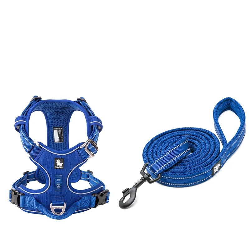 Ensemble harnais anti-traction et laisse assortie