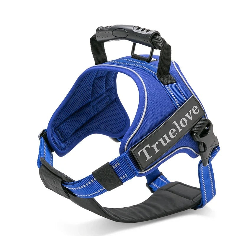 Harnais anti-traction 2 en 1, plastron amovible