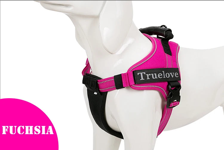 Harnais anti-traction 2 en 1, plastron amovible